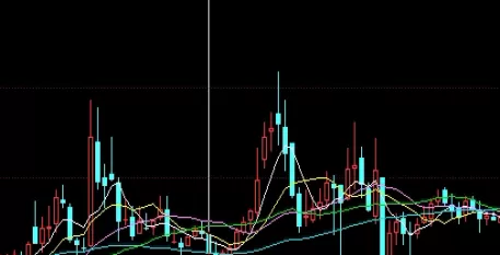 经验之谈！生猪2209期货（生猪2209期货详细介绍）