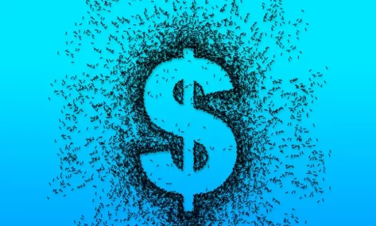 新手必备！国内期货保证金比例(国内期货保证金比例的设定主要依据)