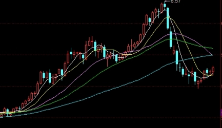 颇受欢迎！交易头寸：金融市场中的关键角色